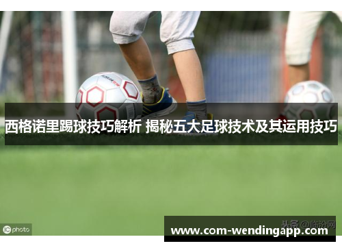西格诺里踢球技巧解析 揭秘五大足球技术及其运用技巧